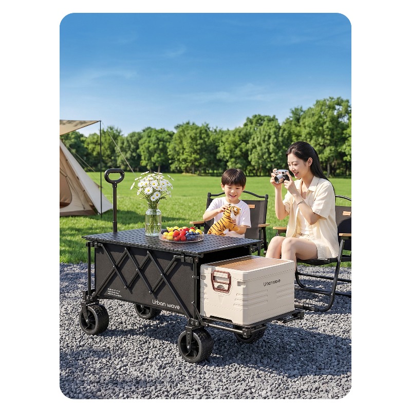 Carrito de Camping Plegable, C - Outdoor Camping For Kids reseña y precio