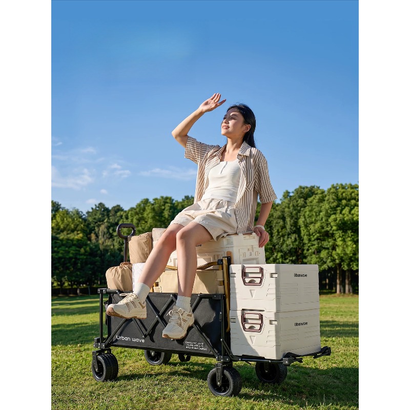 Carrito de Camping Plegable, C - Outdoor Camping For Kids reseña y precio